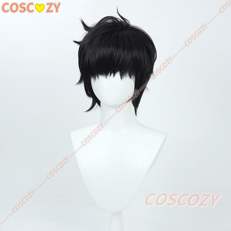 Wig Cosplay Sung Jinwoo dari A - Cosplay Anime Solo ulasan dan harga
